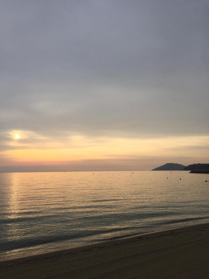 Apartmán Les Pieds Dans Le Sable Argelès-sur-Mer Exteriér fotografie